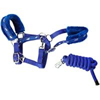 Cwell Equine - Collares de Pelo Acolchado con diseño de Caballo y Correa a Juego- Color Azul